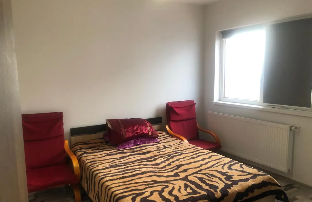 Duplex Effy-1