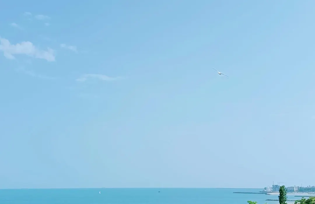 Sunrise Beachfront Relax Residence-1