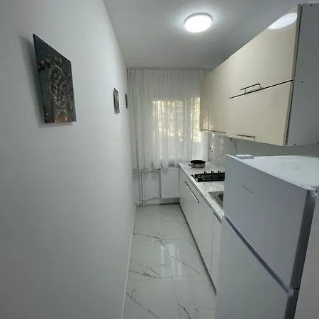 Apartament 2 camere-2