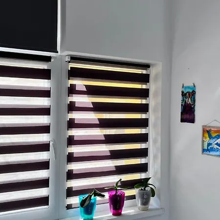 Summer Vibe - Apartament La Curte-2