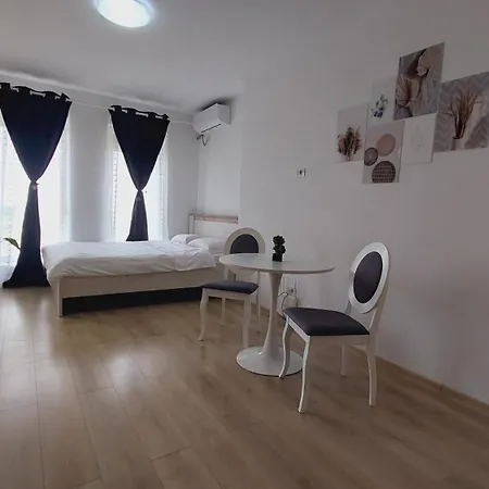 Garsoniera Studio-2