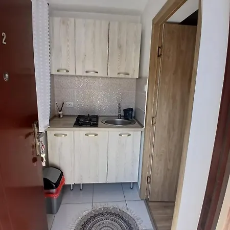 Casa Anastasia-Constanta Delfinariu-2