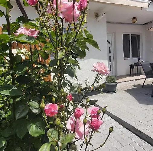 Holiday Home Constanţa