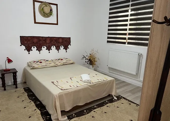 Casa Vily Constanţa