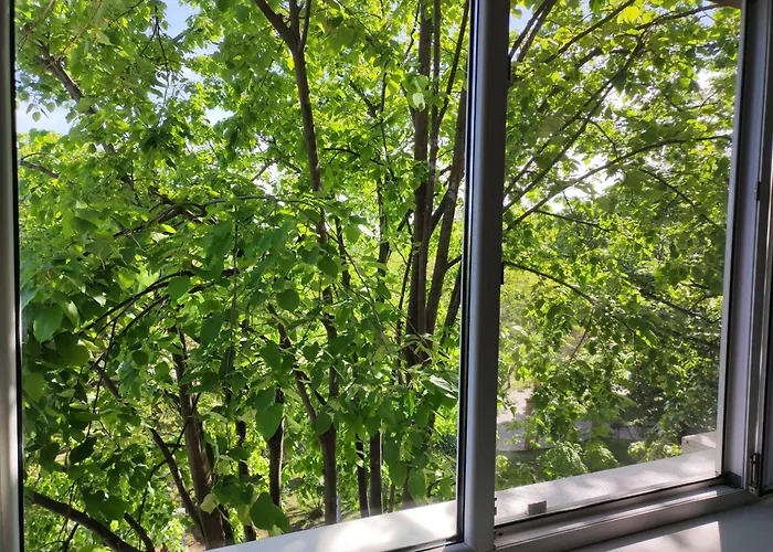 Bulevardul Tomis 99, Apartament 2 cam, Zonă pietonală weekend, Vedere parcul Operei, Ideal familii Constanţa
