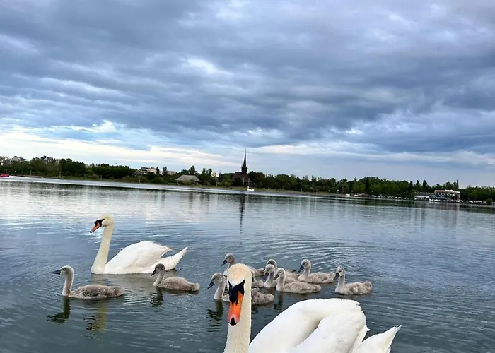 Sky44Apt Delfinariu Faleza Nord Constanţa