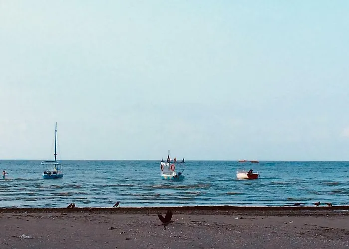 Seawave Black Sea Coast Constanţa